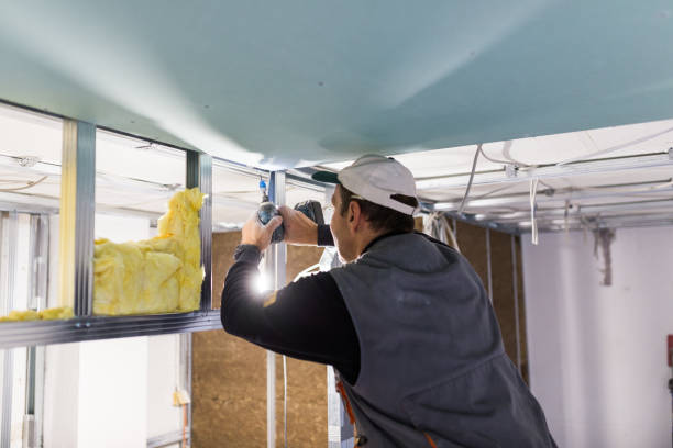 Best Insulation Contractors for Homes  in Belton, SC
