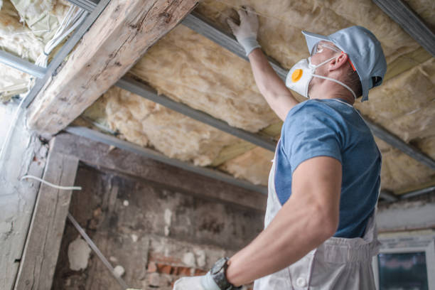 Best Home Insulation Services  in Belton, SC