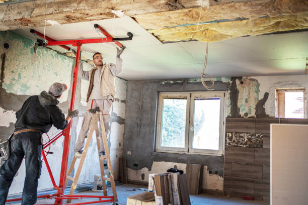 Best Cellulose Insulation  in Belton, SC